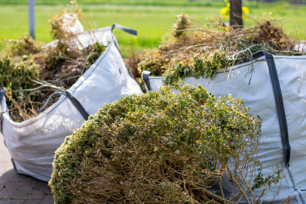 Best Construction Debris Removal  in Lewisville, NC